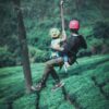 Kerala's Longest Dual Zipline in Suryanelli, Munnar - Image 8