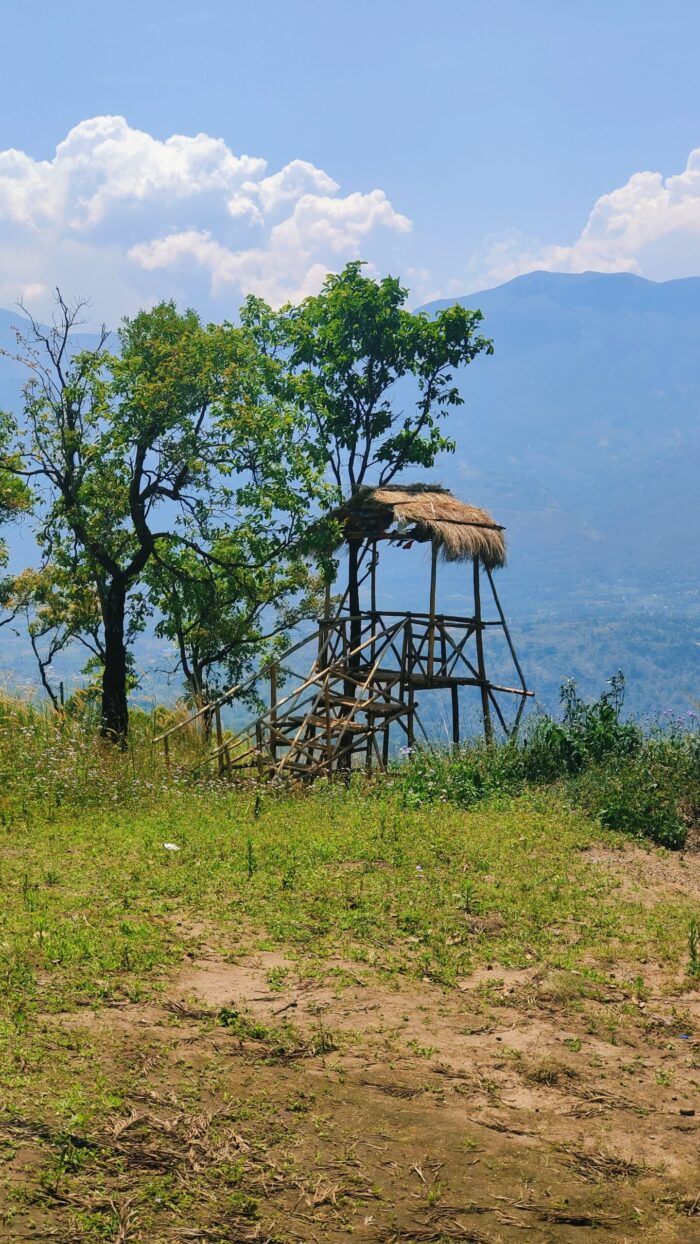 A frame stay Munnar Kanthalloor - Image 19
