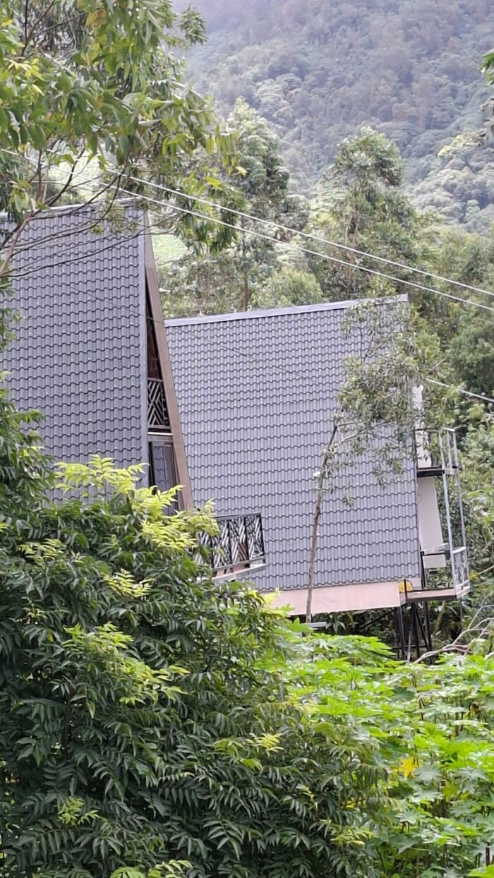 Kolukkumalai A frame Stay Campsite in Suryanelli - Image 10