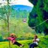 Kerala's Longest Dual Zipline in Suryanelli, Munnar - Image 9