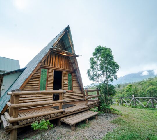 A-frame stay with swimming pool in Suryanelli