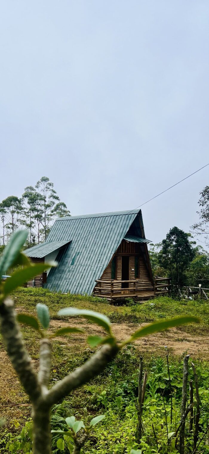 A-frame stay with swimming pool in Suryanelli - Image 6