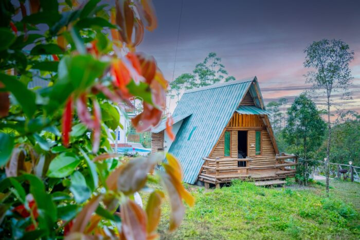 A-frame stay with swimming pool in Suryanelli - Image 2