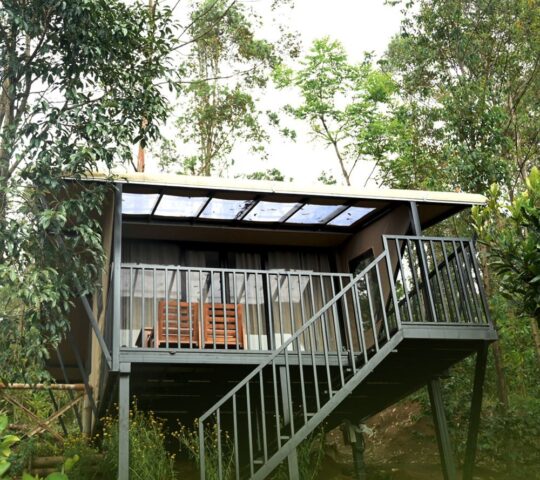 Premium Glamp stay in Munnar Suryanelli