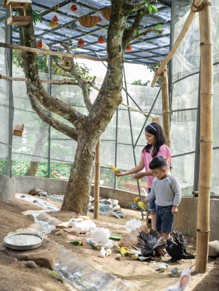 Luxury Dome stay with swimming pool in Munnar - Image 7