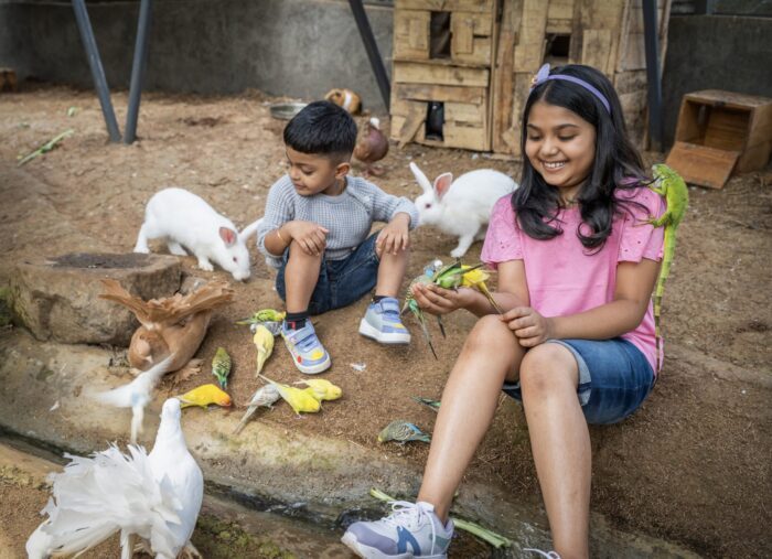 Luxury Dome stay with swimming pool in Munnar - Image 8