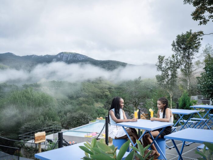 Luxury Dome stay with swimming pool in Munnar - Image 18