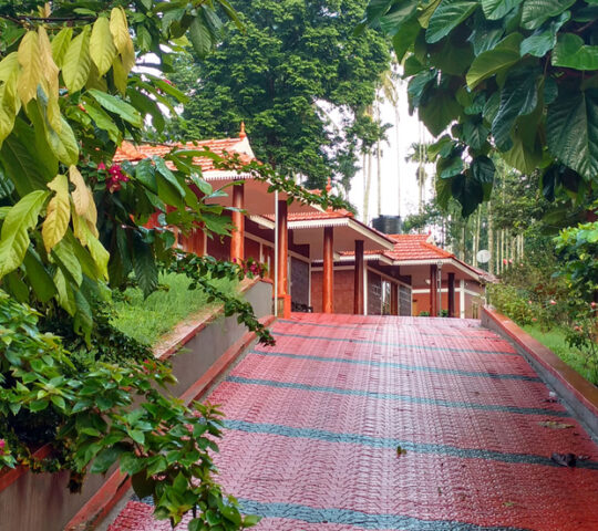 Pappy’s Nest – Best Budget Family Resort in Wayanad with a Farm & Pond
