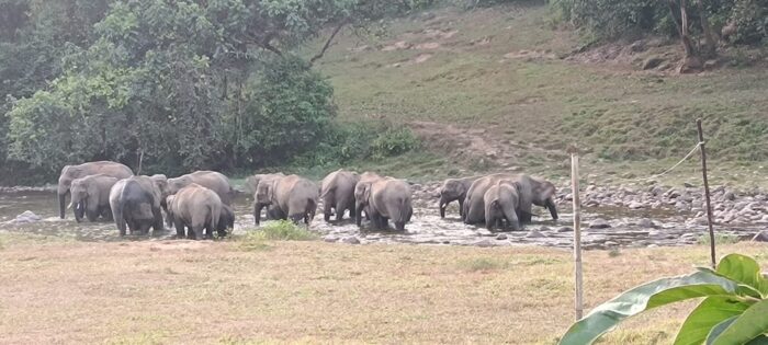 Homestay with water activities in Anakulam, Munnar - Image 8