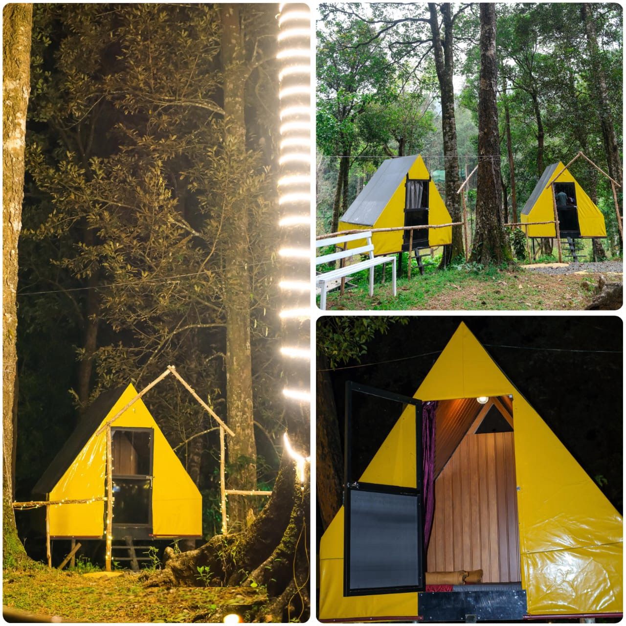 Stay in 900 KANDI, Meppadi, Wayanad Stay in 900 KANDI, Meppadi, Wayanad