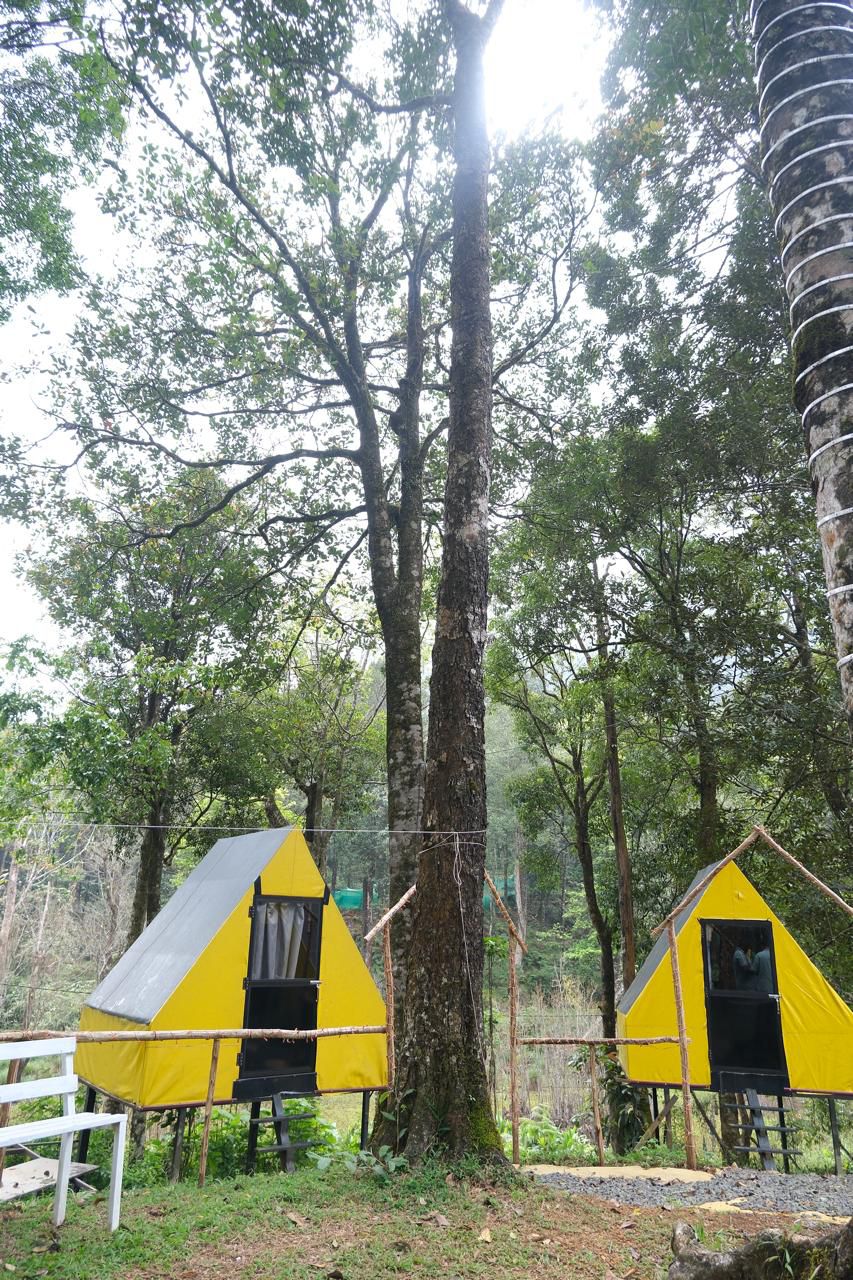 Stay in 900 KANDI, Meppadi, Wayanad Stay in 900 KANDI, Meppadi, Wayanad