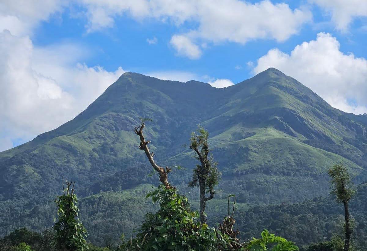 A-frame and camping cabin stay in Meppadi, Wayanad A-frame and camping cabin stay in Meppadi, Wayanad