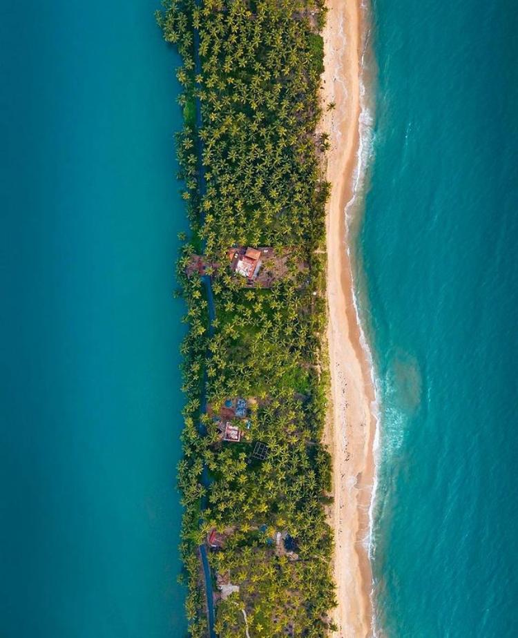 Mangrove Vibe Kayaking - Image 6