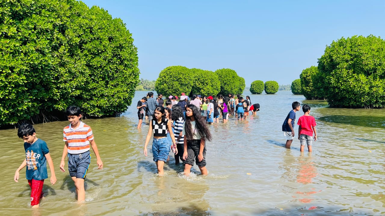 Mangrove Vibe Kayaking - Image 2