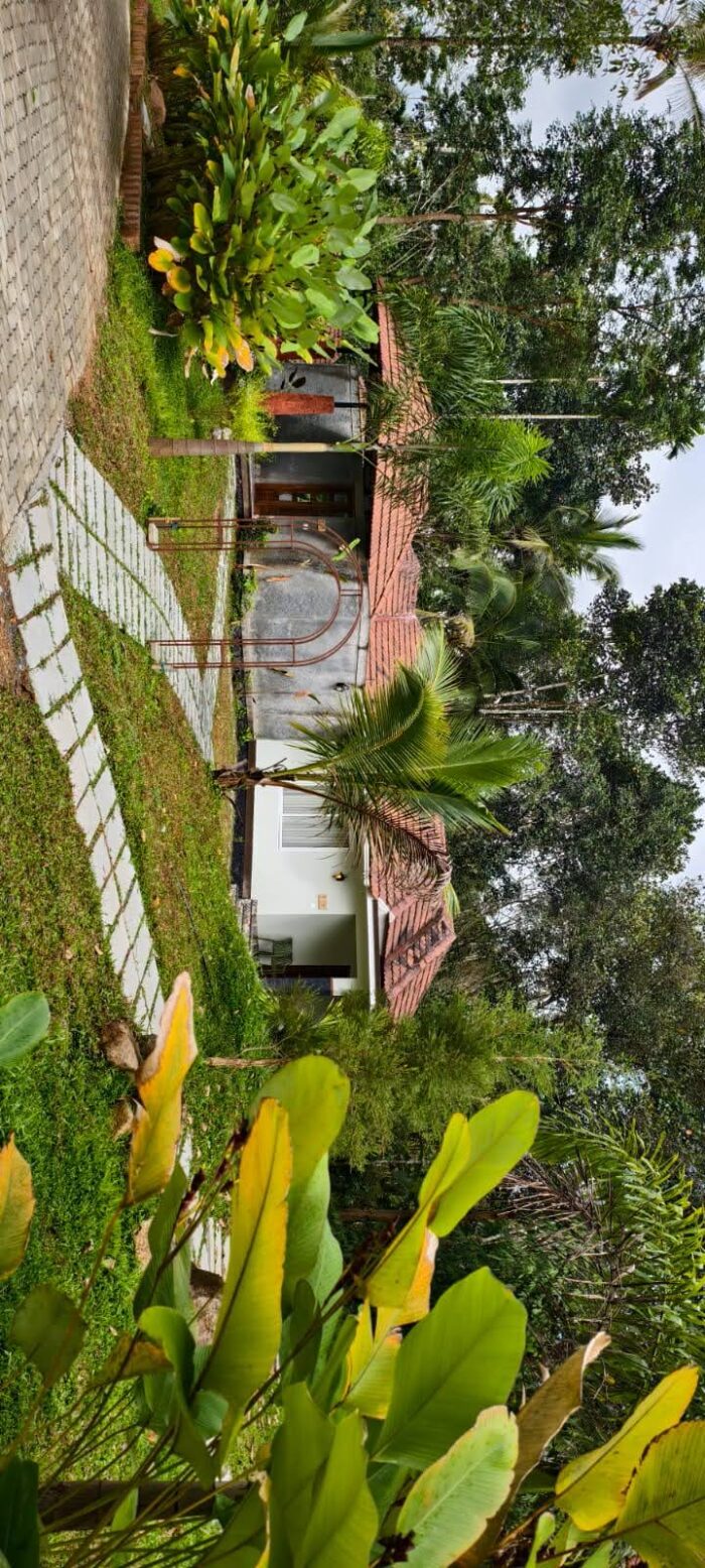 Village Themed Nature Resort in Wayanad - Image 7