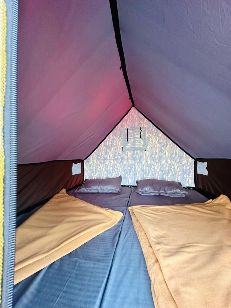 Inside the Tent View