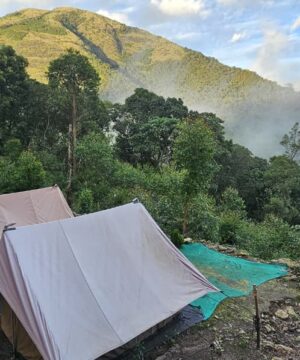 Munnar Kolukkumalai Boss Peak Trekking Package