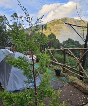 Kolukkumalai Boss peak Trekking Package