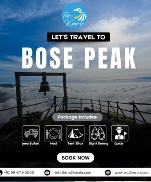 Munnar Kolukkumalai Bose Peak Trekking Package