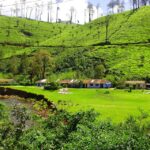 3D 2N Munnar Tour Package