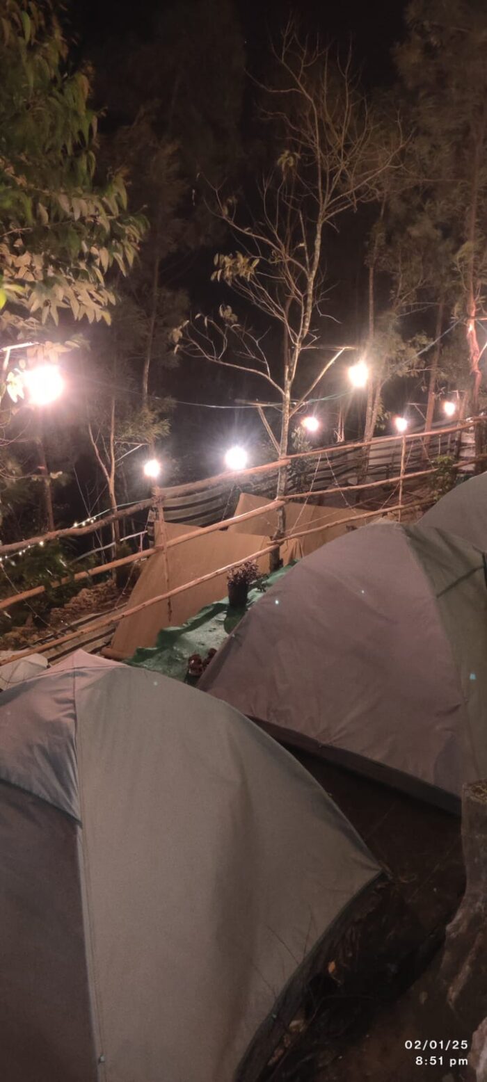 Munnar Kolukkumalai Bose Peak Trekking Package - Image 9