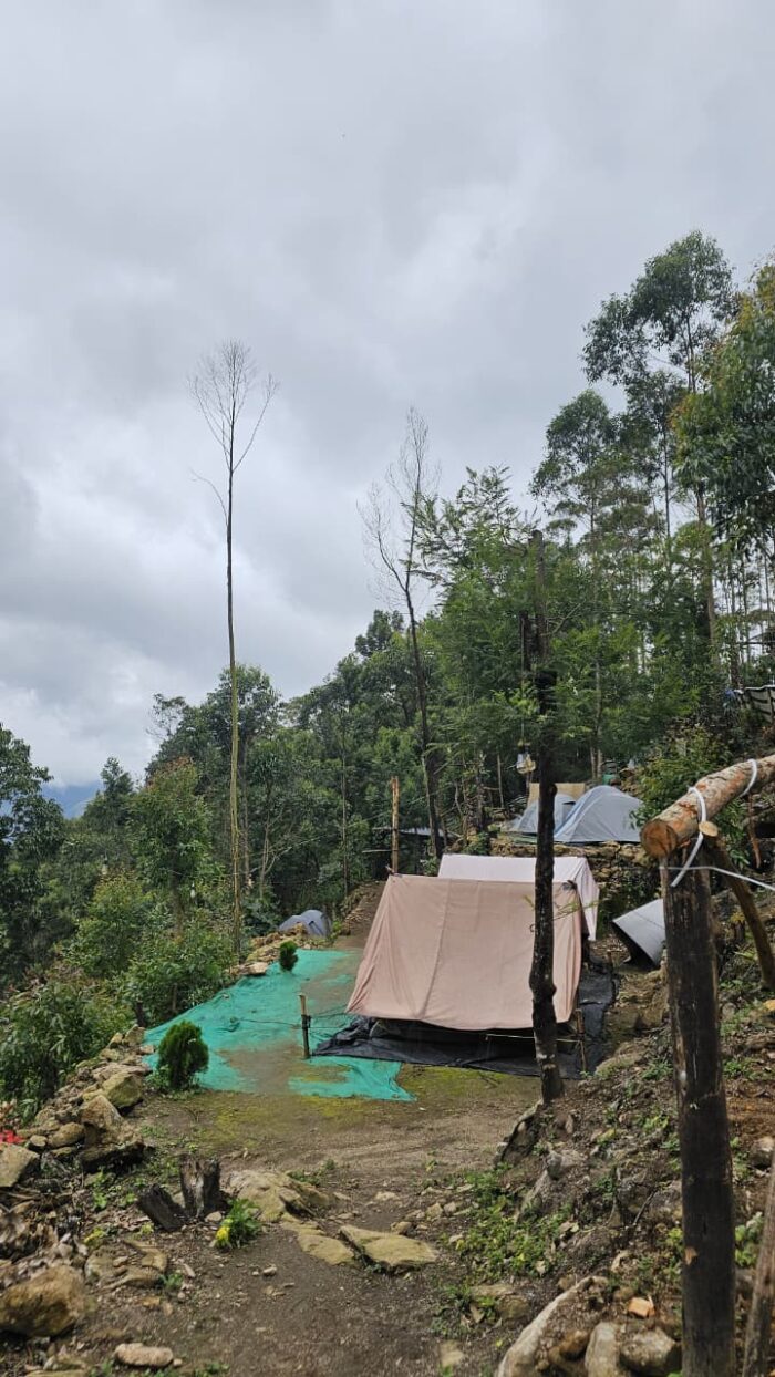 Munnar Kolukkumalai Bose Peak Trekking Package - Image 5