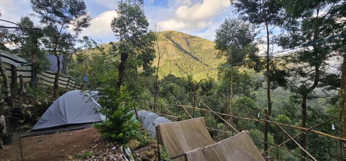 Munnar Kolukkumalai Bose Peak Trekking Package - Image 6