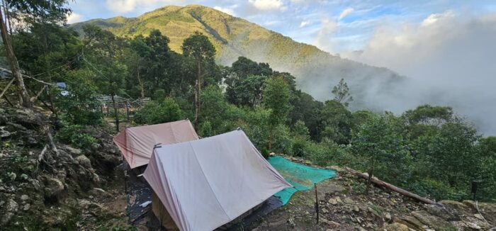 Munnar Kolukkumalai Bose Peak Trekking Package - Image 2