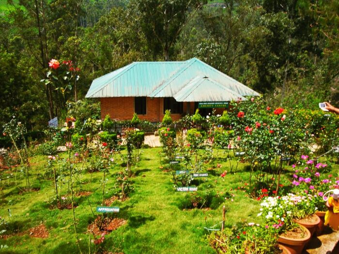 3D 2N Munnar Tour Package - Image 3