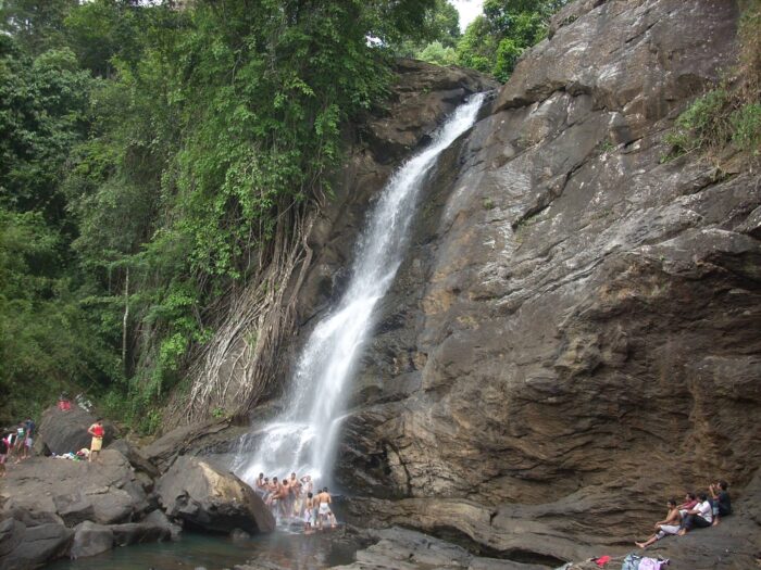 4 Days 3 Night Wayanad Tour Package - Image 3