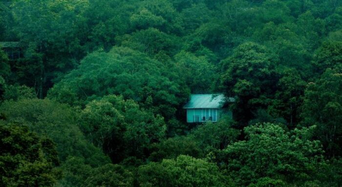 4 Days 3 Night Wayanad Tour Package - Image 2