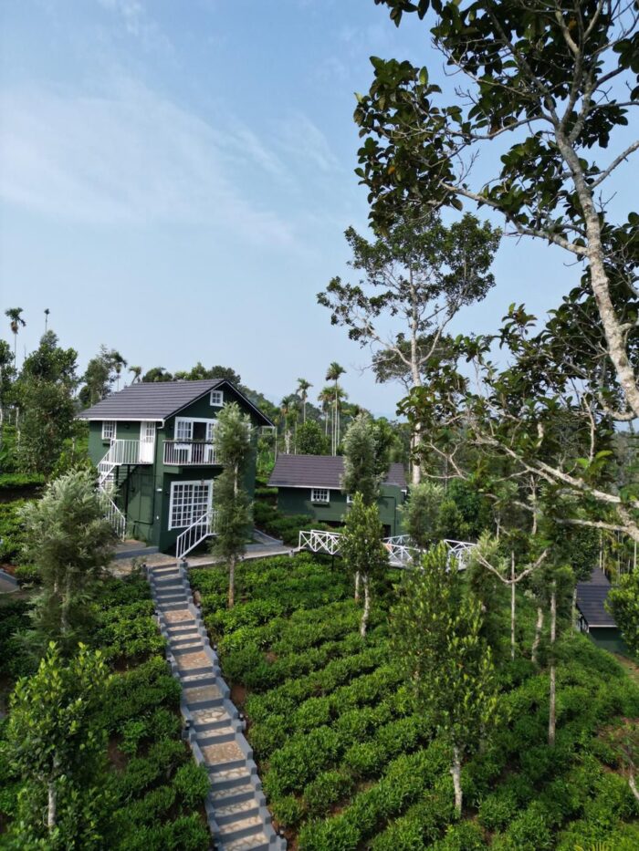 Tea Plantation Private Pool Villa in in Wayanad - Image 6