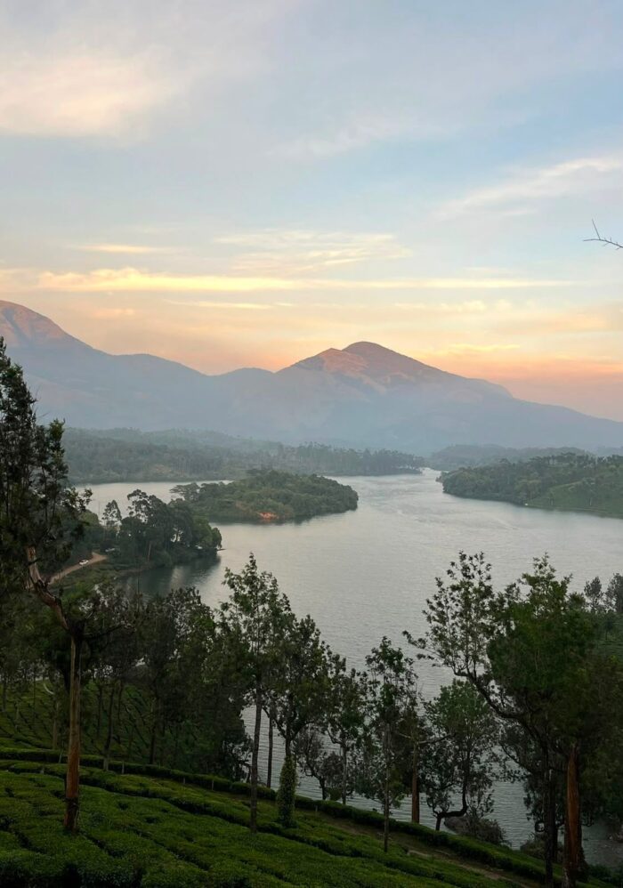 Neelakurinji Package With Chokramudi Kolukkumalai Trekking - Image 9