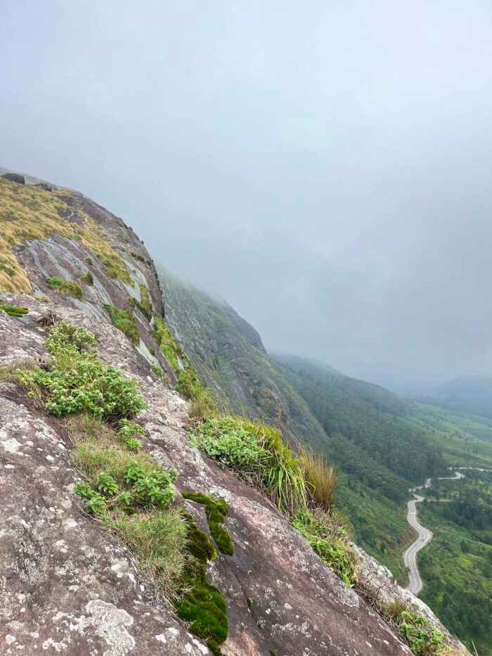 Neelakurinji Package With Chokramudi Kolukkumalai Trekking - Image 6