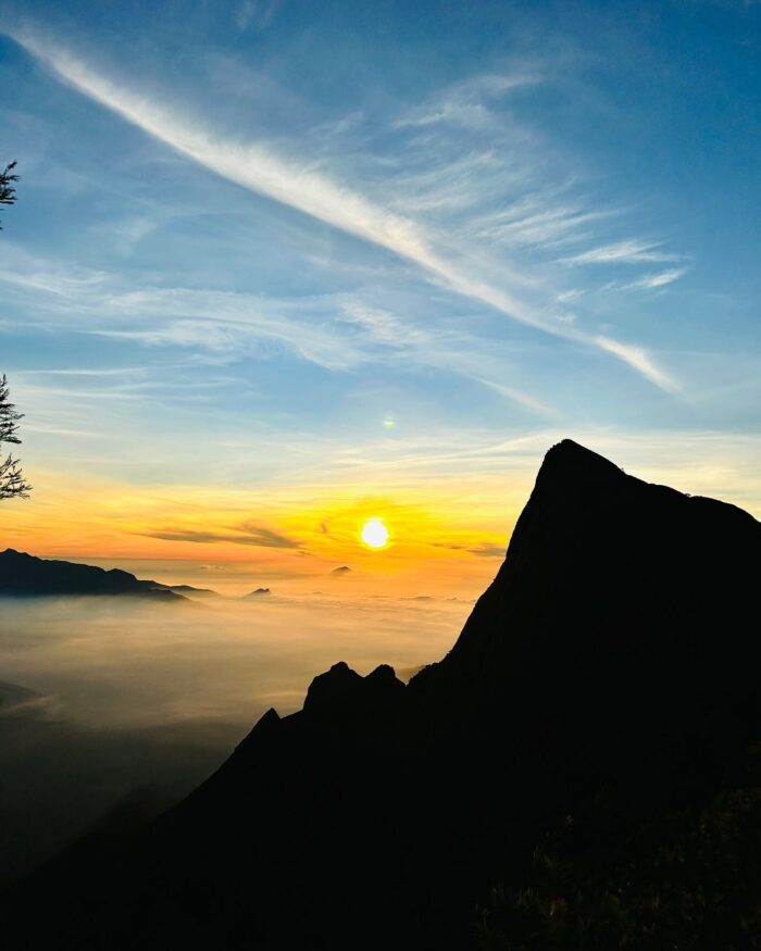 Neelakurinji Package With Chokramudi Kolukkumalai Trekking - Image 8