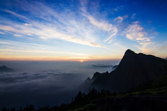Neelakurinji Package With Chokramudi Kolukkumalai Trekking - Image 2