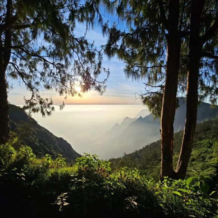 Neelakurinji Package With Chokramudi Kolukkumalai Trekking - Image 10