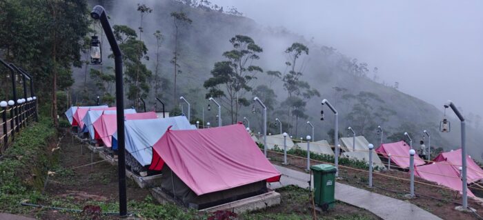 Neelakurinji Package With Chokramudi Kolukkumalai Trekking - Image 11